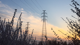 智能疏散指示系统设计规范