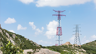 应急照明系统中智能疏散控制器的研究