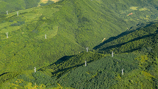 智能疏散诱导系统中动态标志对人群疏散的影响