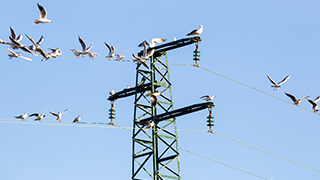 移动式应急电源电气接口系统的研究及应用