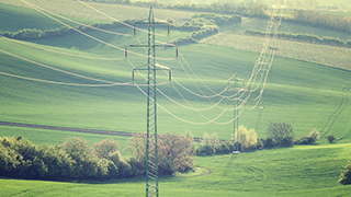 基于博弈论和蚁群算法的智能疏散诱导系统及使用方法