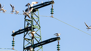 智能型火警显示及疏散指示系统的功能及适用性