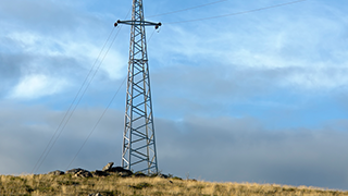 基于听觉交互的应急智能疏散系统